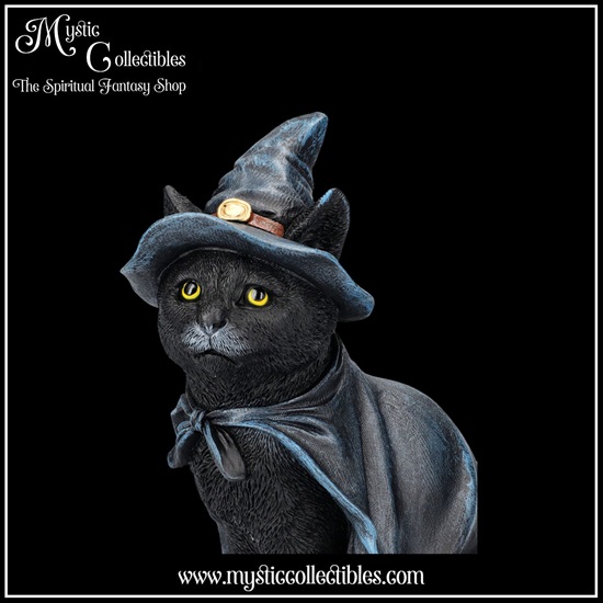 ct-fg064-7-figurine-bewitching