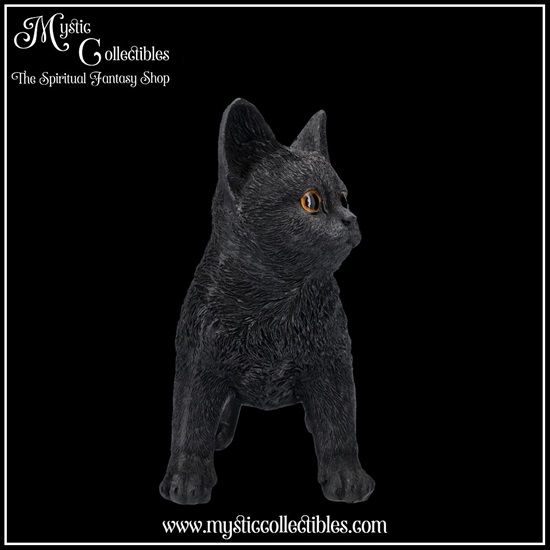 ct-fg069-6-figurine-charmed-companion