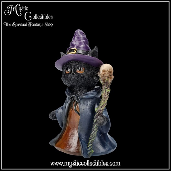 ct-fg071-2-figurine-whiskered-wizard