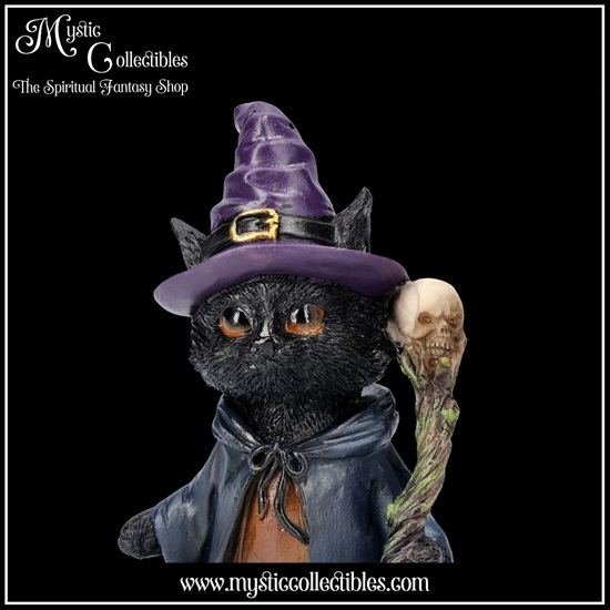 ct-fg071-7-figurine-whiskered-wizard