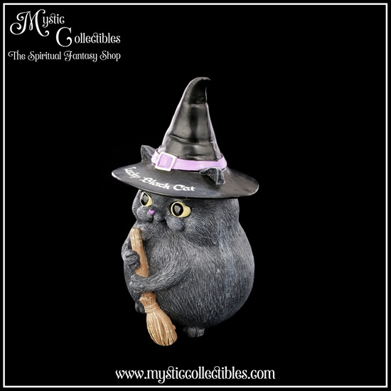 ct-fg010-2-figurine-lucky-black-cat