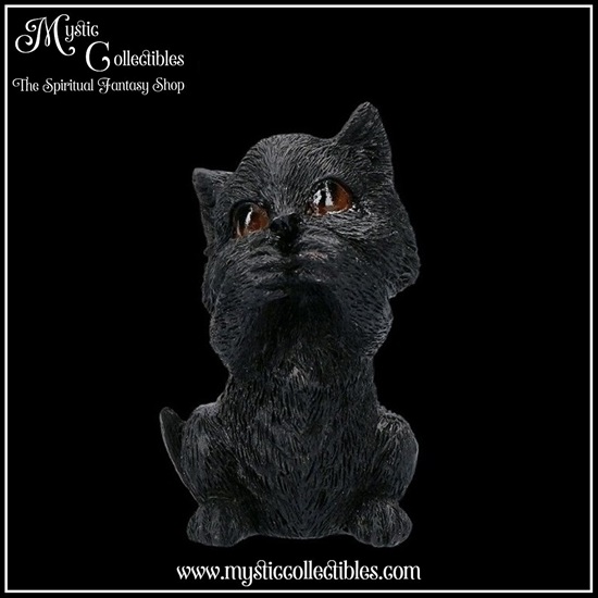 ct-fg020-7-figurines-three-wise-kitties
