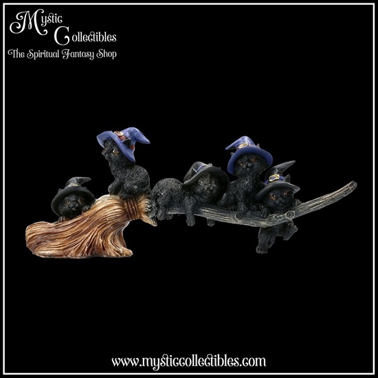 ct-fg025-1-figurine-purrfect-broomstick