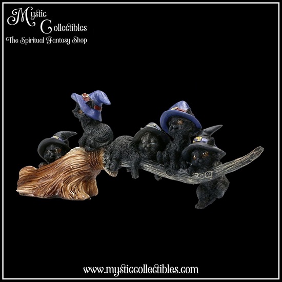 ct-fg025-2-figurine-purrfect-broomstick