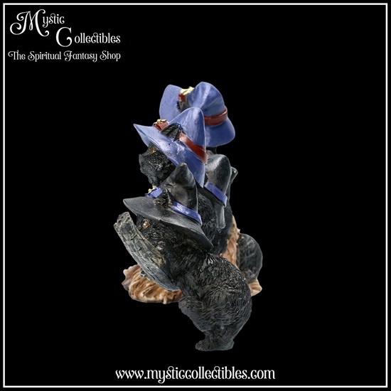 ct-fg025-3-figurine-purrfect-broomstick