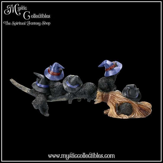ct-fg025-4-figurine-purrfect-broomstick