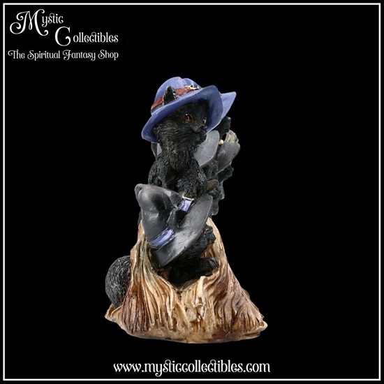 ct-fg025-5-figurine-purrfect-broomstick