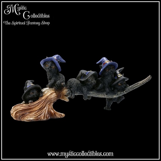 ct-fg025-6-figurine-purrfect-broomstick