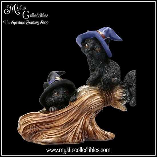 ct-fg025-7-figurine-purrfect-broomstick