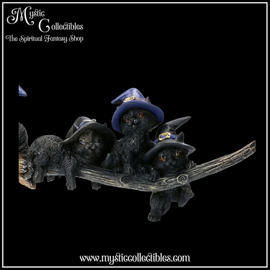 ct-fg025-8-figurine-purrfect-broomstick