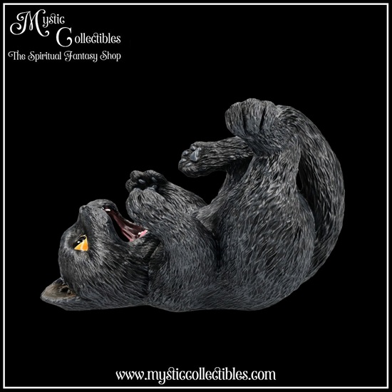 ct-fh001-2-bottle-holder-black-cat