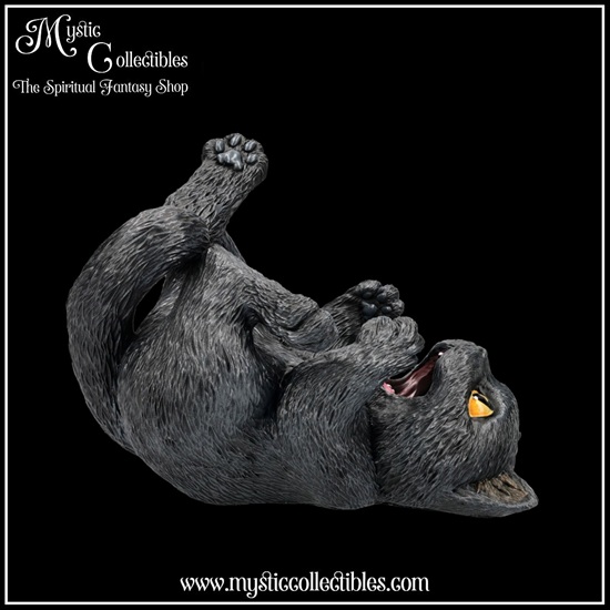 ct-fh001-4-bottle-holder-black-cat
