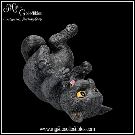ct-fh001-5-bottle-holder-black-cat