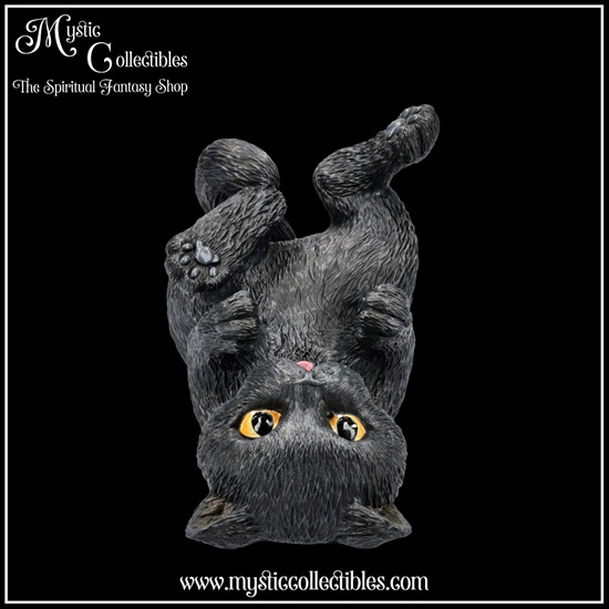 ct-fh001-6-bottle-holder-black-cat