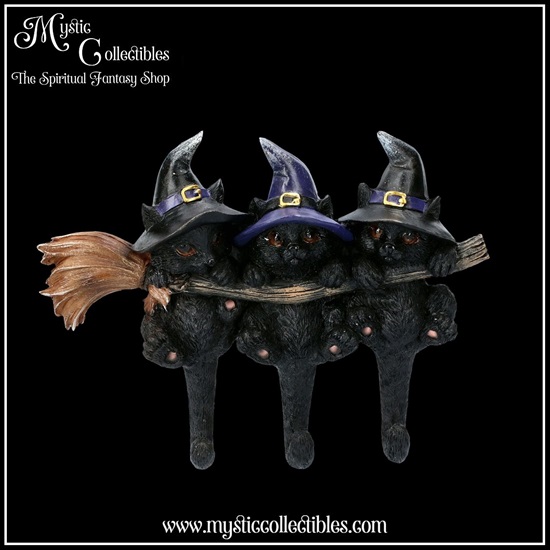 ct-wa002-1-wall-decoration-key-holder-witches-help