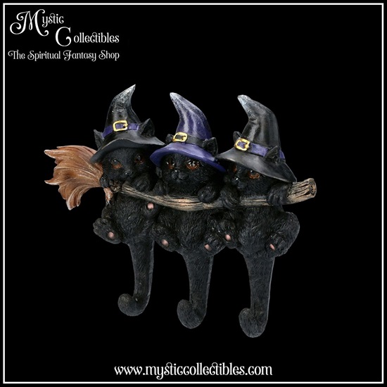 ct-wa002-2-wall-decoration-key-holder-witches-help