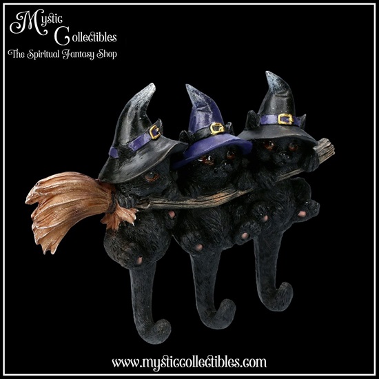 ct-wa002-6-wall-decoration-key-holder-witches-help