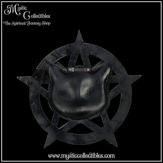 ct-wa003-5-wall-decoration-feline-worship