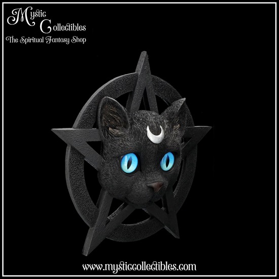 ct-wa003-8-wall-decoration-feline-worship