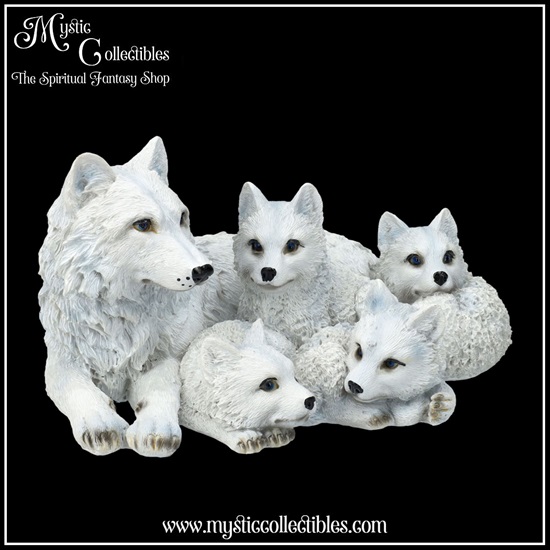 wf-fg009-6-figurine-pups-protection