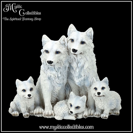 wf-fg010-1-figurine-protected-pups