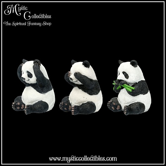 an-fg007-2-three-wise-pandas