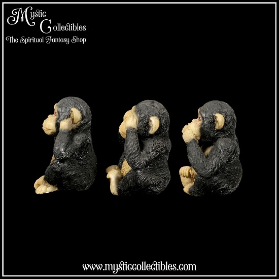 an-fg015-2-three-wise-chimps