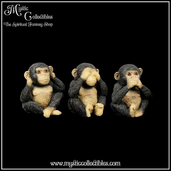 an-fg015-4-three-wise-chimps