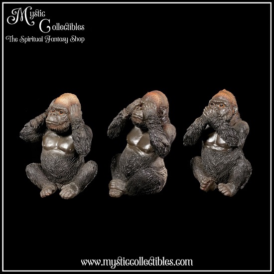 an-fg019-2-three-wise-gorillas