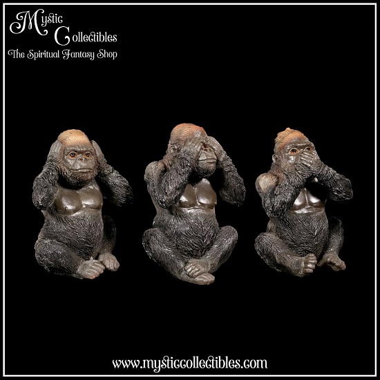 an-fg019-4-three-wise-gorillas