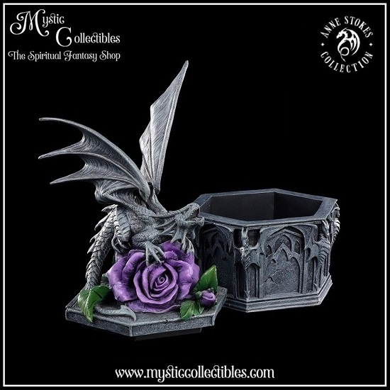 as-bx001-2-anne-stokes-dragon-beauty-box