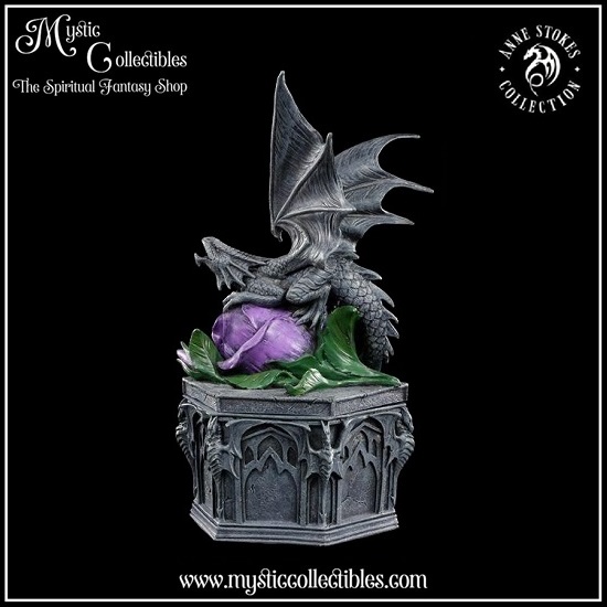 as-bx001-4-anne-stokes-dragon-beauty-box