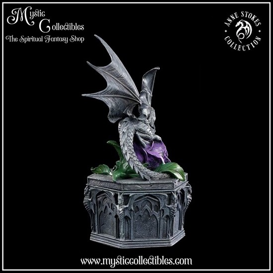 as-bx001-5-anne-stokes-dragon-beauty-box