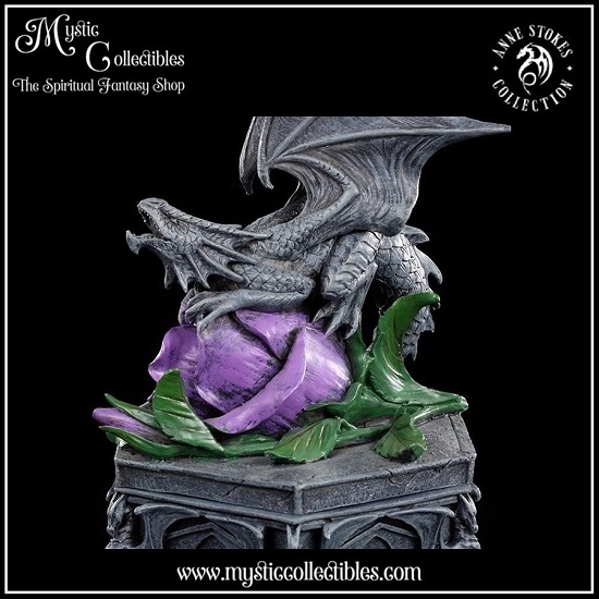 as-bx001-7-anne-stokes-dragon-beauty-box