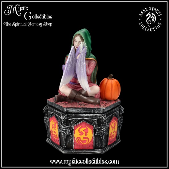 as-bx005-2-fall-box-dragon-friendship-collection-a