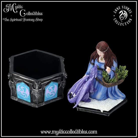 as-bx006-8-winter-box-dragon-friendship-collection