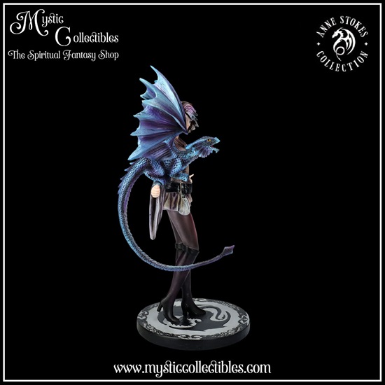 as-fg044-5-figurine-dragon-trainer-anne-stokes