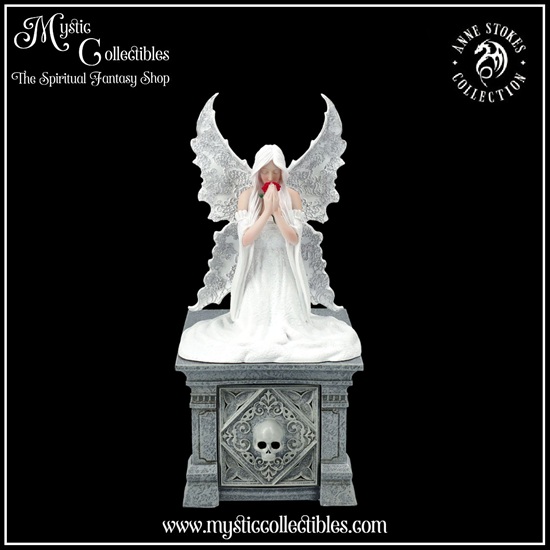 as-bx003-1-only-love-remains-box-anne-stokes