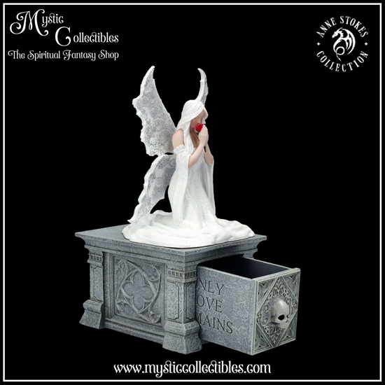 as-bx003-6-only-love-remains-box-anne-stokes