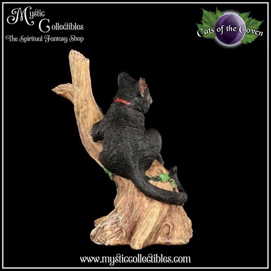 ct-cc005-6-figurine-onyx-cats-of-the-coven-collect