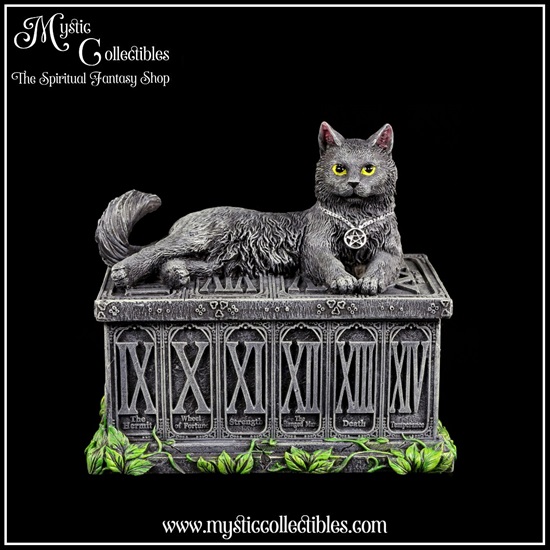 iv-bx001-1-fortune-s-watcher-tarot-box