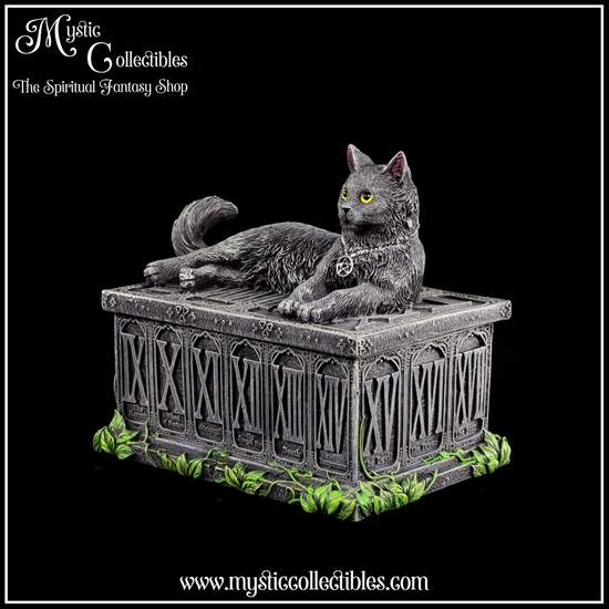 iv-bx001-2-fortune-s-watcher-tarot-box