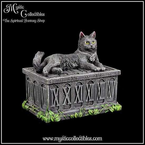 iv-bx001-4-fortune-s-watcher-tarot-box