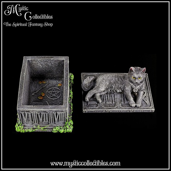 iv-bx001-6-fortune-s-watcher-tarot-box