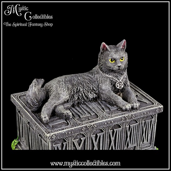 iv-bx001-7-fortune-s-watcher-tarot-box
