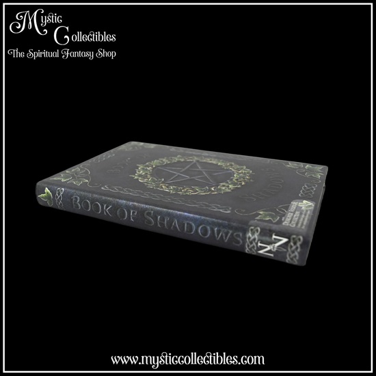 iv-nb001-4-notebook-book-of-shadows-ivy