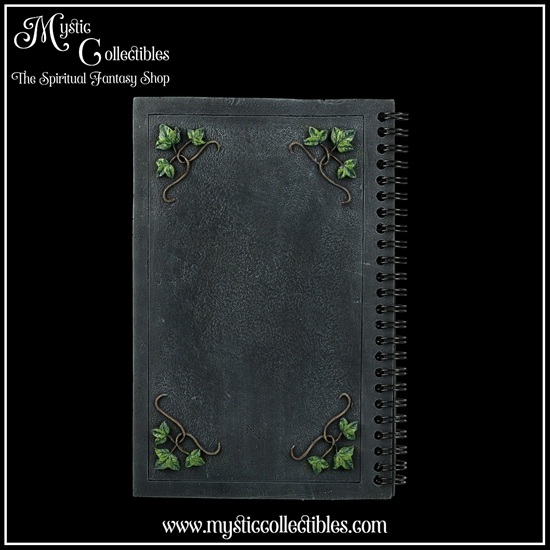 iv-nb002-2-notebook-ivy-book-of-shadows