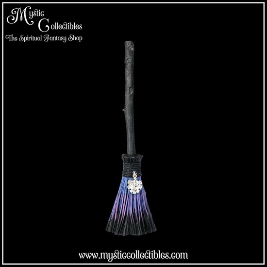 pb-fg004-1-figurine-positive-energy-broomstick-gre