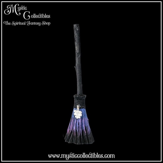 pb-fg004-2-figurine-positive-energy-broomstick-gre