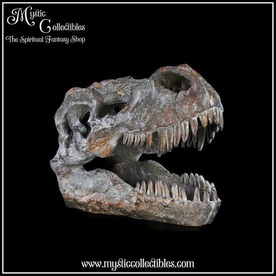 di-fg001-1-figurine-tyrannosaurus-rex-skull